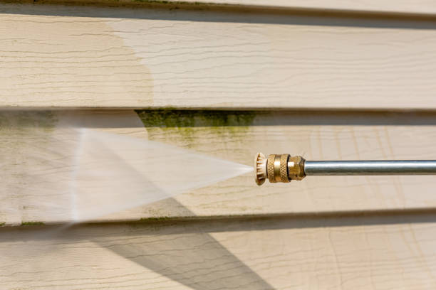 Best Affordable Pressure Washing  in Fayette, LA