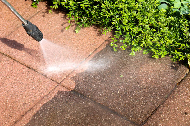 Best Pressure Washing Near Me  in Fayette, LA
